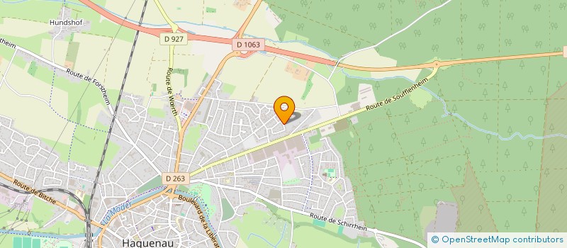 localisation de l'entreprise ANTHONY  HAGUENAU