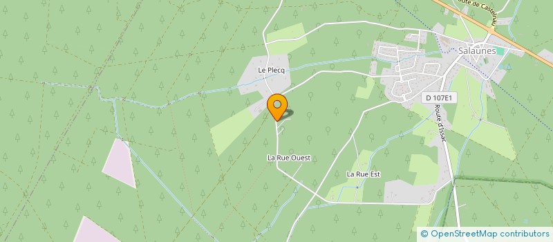 localisation de l'entreprise ANTHONY  SALAUNES