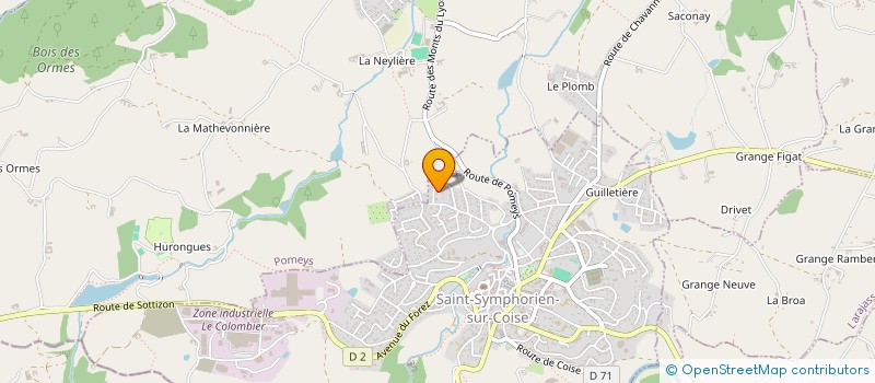 localisation de l'entreprise ANTHONY ELEZAAR  SAINT-SYMPHORIEN-SUR-COISE