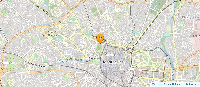 localisation de l'entreprise ANTHRACO DES GDS TRAVAUX ET RECHER ARCHE à MONTPELLIER