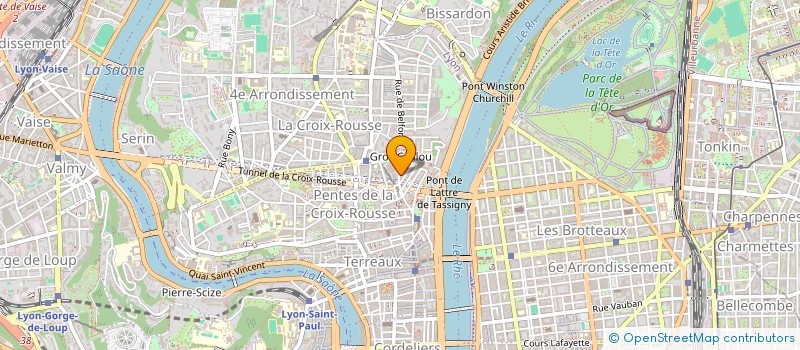 localisation de l'entreprise ANTHROPOIDE à LYON