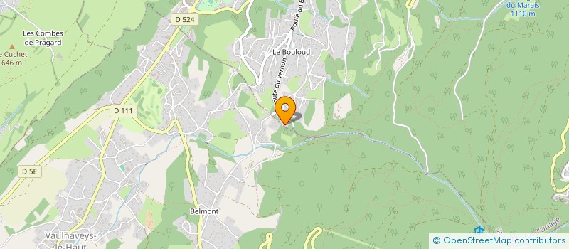 localisation de l'entreprise ANTIBES LES PINS  SAINT-MARTIN-D'URIAGE