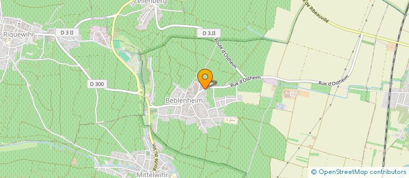 localisation de l'entreprise ANTIC CARS SERVICES  BEBLENHEIM