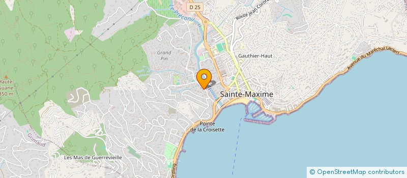 localisation de l'entreprise ANYA THAI MASSAGE BIEN-ETRE à SAINTE-MAXIME
