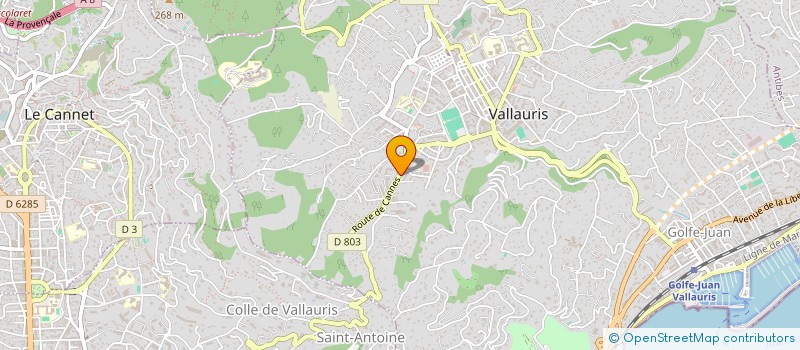 localisation de l'entreprise AP AUDIT 06  VALLAURIS