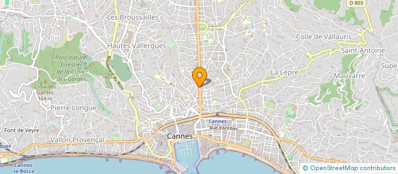 localisation de l'entreprise APC  CANNES