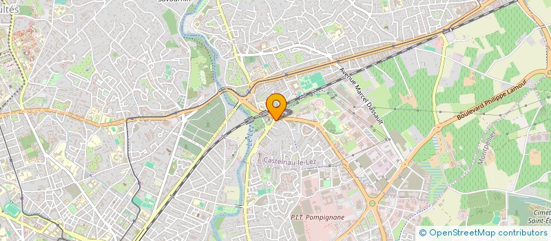 localisation de l'entreprise APDMGR à CASTELNAU-LE-LEZ