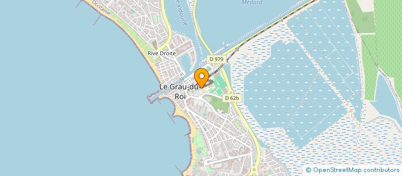 localisation de l'entreprise APE DELEUZE ASSOCIATION DE PARENT D'ELEVES DE L'ECOLE MATERNELLE EUGENIE DELEUZE DE LA COMMUNE DU GRAU-DU-ROI  LE GRAU-DU-ROI