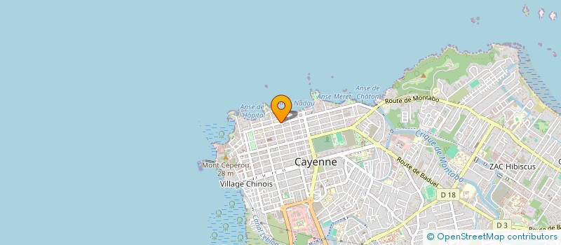 localisation de l'entreprise APE ECOLE ALEXANDRINE STANISLAS  CAYENNE