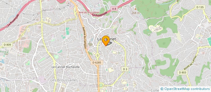 localisation de l'entreprise APE LES ORANGERS LE CANNET à LE CANNET