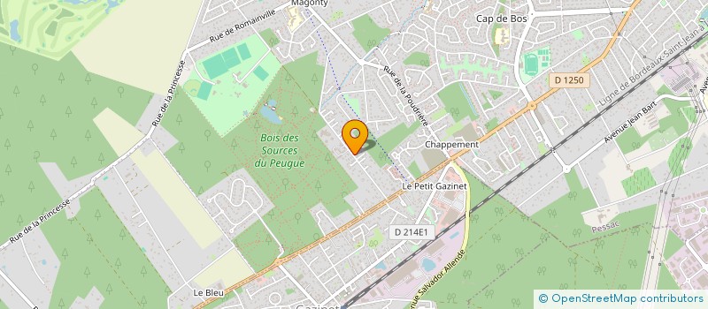 localisation de l'entreprise APEI REGION BORDELAISE à PESSAC