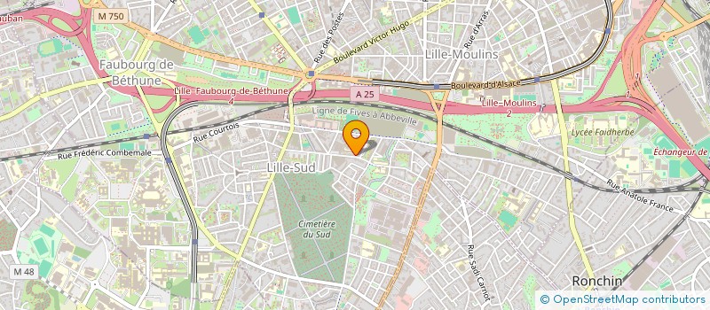 localisation de l'entreprise APELAV ASSOCIATION DES PARENTS D'ELEVES D'AVERROES  LILLE