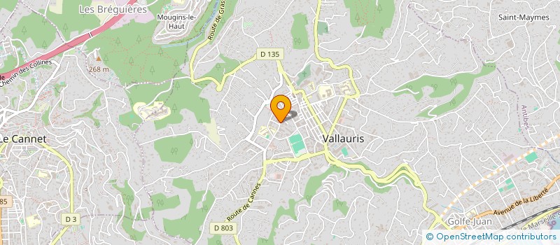 localisation de l'entreprise APERO BY LOLO  VALLAURIS