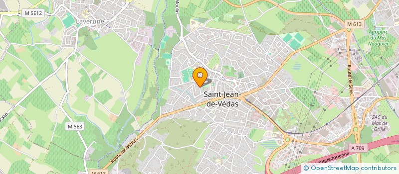 localisation de l'entreprise APEX  SAINT-JEAN-DE-VEDAS