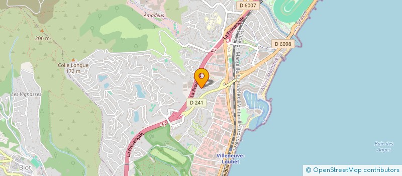 localisation de l'entreprise APEX GLOBAL LOGISTICS  VILLENEUVE-LOUBET