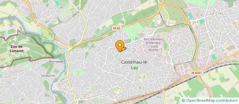 localisation de l'entreprise APFC DEVELOPPEMENT à CASTELNAU-LE-LEZ