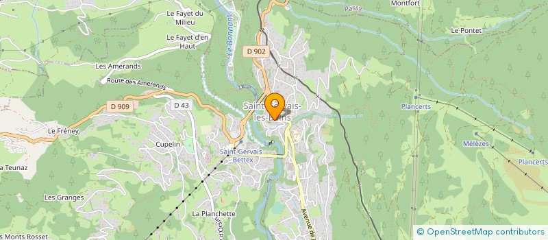 localisation de l'entreprise APGSG18 à SAINT-GERVAIS-LES-BAINS