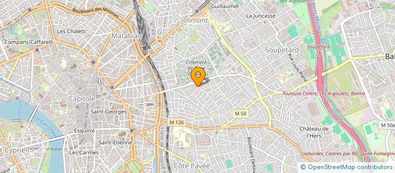 localisation de l'entreprise API SOCIETY à TOULOUSE