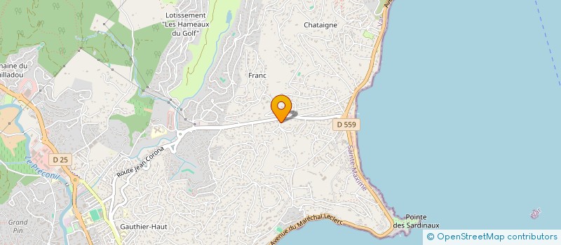 localisation de l'entreprise APIC à SAINTE MAXIME