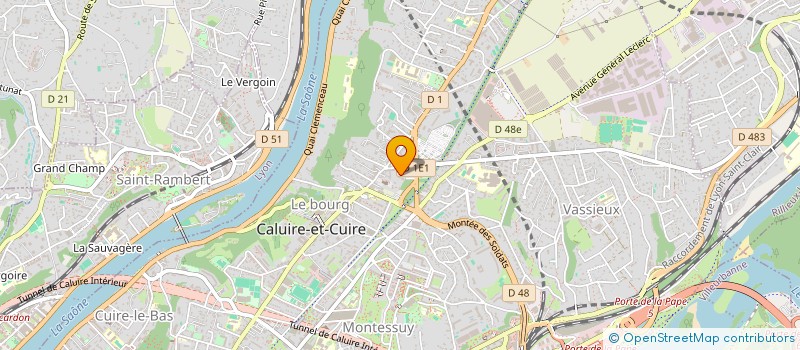 localisation de l'entreprise APIDY  CALUIRE-ET-CUIRE