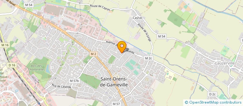 localisation de l'entreprise APINESS  SAINT-ORENS-DE-GAMEVILLE