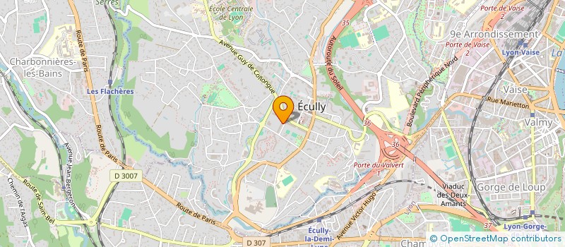 localisation de l'entreprise APIRE  ECULLY