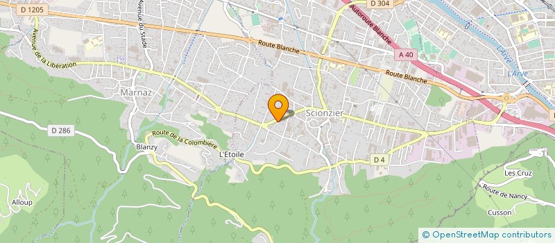 localisation de l'entreprise APM  SCIONZIER