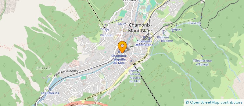 localisation de l'entreprise APPARTEMENT 1930  CHAMONIX-MONT-BLANC