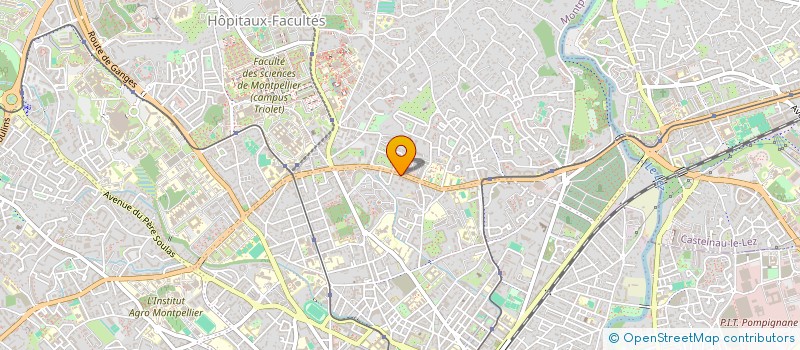 localisation de l'entreprise APPARTEMENT RES. BELVEZET  MONTPELLIER