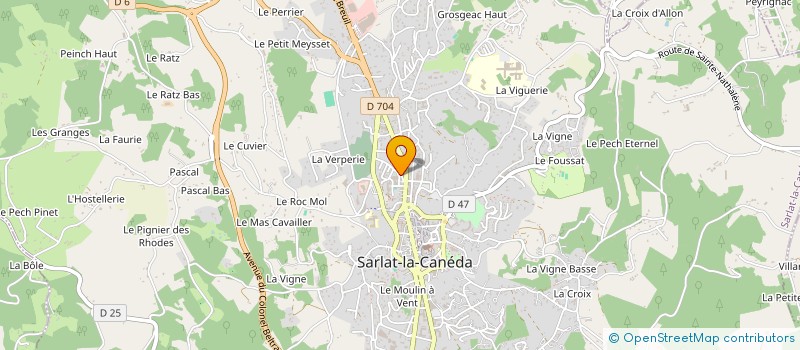 localisation de l'entreprise APPELLATION D'ORIGINE CLOWNESQUE NOUVELLE AQUITAINE à SARLAT-LA-CANEDA