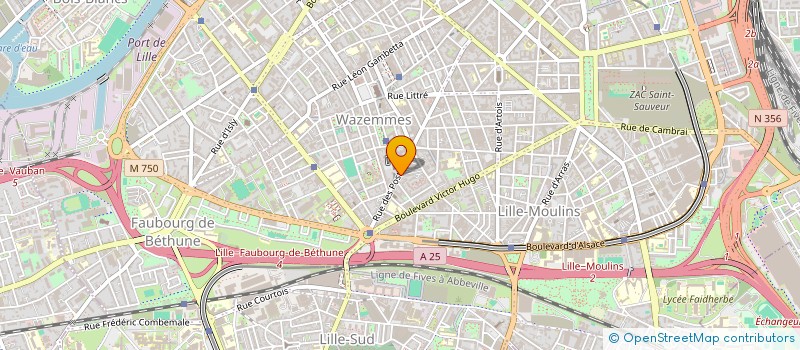 localisation de l'entreprise APPIN CONCEPT à LILLE
