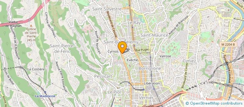 localisation de l'entreprise APPLICATION ETUDE ET ELECTRONIQUE à NICE