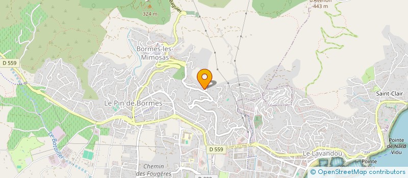 localisation de l'entreprise APY CAPITAL  BORMES-LES-MIMOSAS