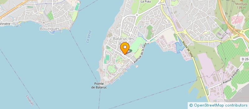 localisation de l'entreprise APY INVEST  BALARUC-LES-BAINS