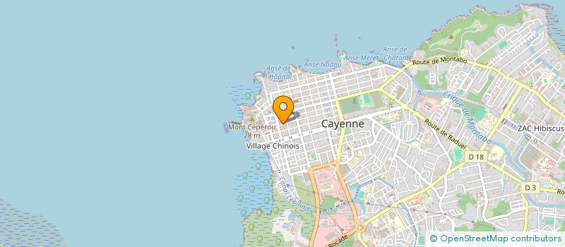 localisation de l'entreprise ARA 973 à CAYENNE