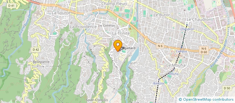 localisation de l'entreprise ARANA FAM  SAINT-DENIS