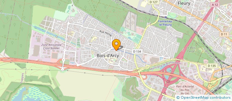 localisation de l'entreprise ARAUJO ET FRERES  BOIS-D'ARCY