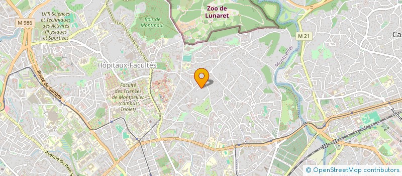 localisation de l'entreprise ARBOPLAN à MONTPELLIER