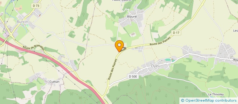 localisation de l'entreprise ARBOREALPES ELAGAGE  OYEU