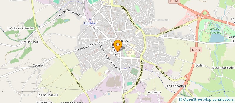localisation de l'entreprise ARBRE DE VIE à LOUDEAC