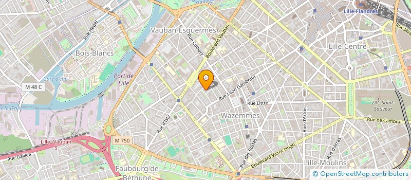 localisation de l'entreprise ARC NUMERIQUE  LILLE