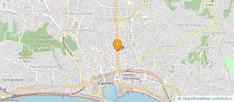localisation de l'entreprise ARCELEC - ELECTRICITE GENERALE ET MARINE à CANNES