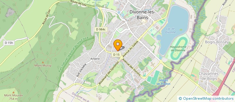 localisation de l'entreprise ARCH PARK à DIVONNE-LES-BAINS