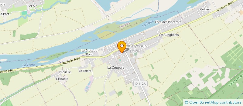 localisation de l'entreprise ARCOLE VENTURES  SAINT-DYE-SUR-LOIRE