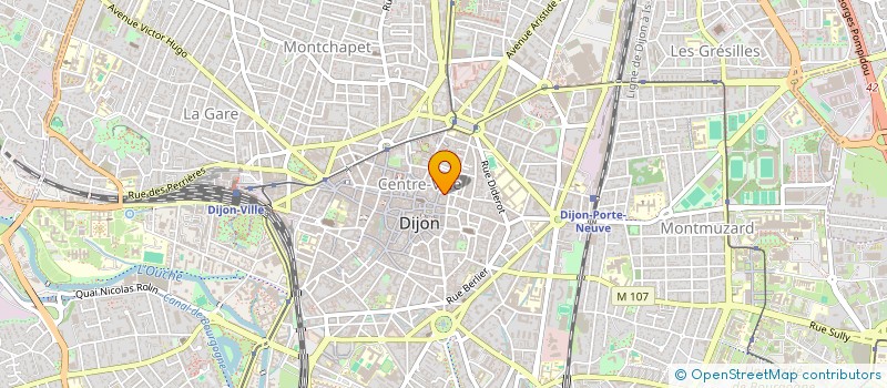 localisation de l'entreprise ARECIBOW  DIJON