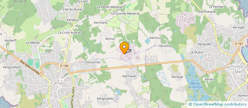 localisation de l'entreprise ARENA CONCEPT  CARNAC