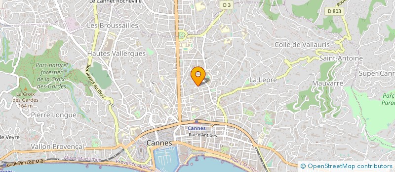 localisation de l'entreprise ARENIL à CANNES