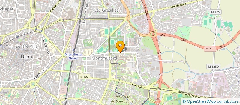 localisation de l'entreprise ARICMI  DIJON