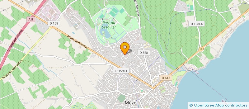 localisation de l'entreprise ARIF & CO à MEZE