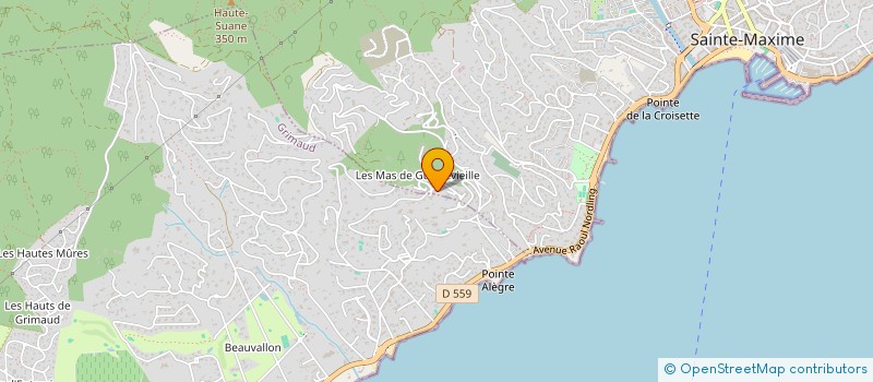 localisation de l'entreprise ARLEQUIN à SAINTE-MAXIME